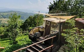 Nave nel Bosco
